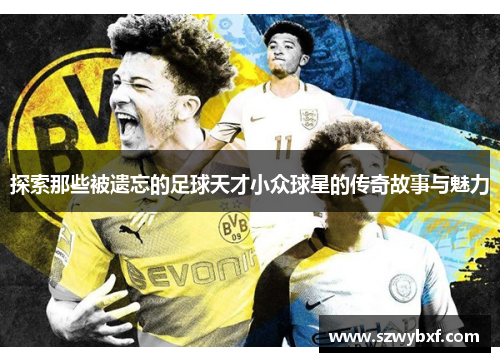 探索那些被遗忘的足球天才小众球星的传奇故事与魅力