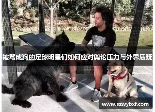 被骂成狗的足球明星们如何应对舆论压力与外界质疑