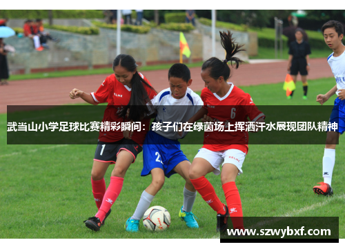 武当山小学足球比赛精彩瞬间：孩子们在绿茵场上挥洒汗水展现团队精神