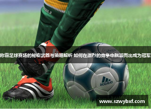 称霸足球赛场的秘密武器与策略解析 如何在激烈的竞争中脱颖而出成为冠军